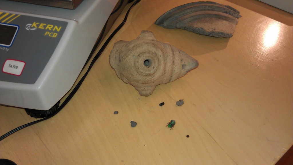 The inside of a figurine piece revealed an insect among other things
