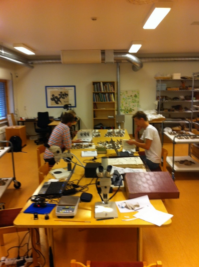 Kjell and Erik working with the ceramics